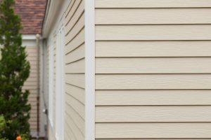 vinyl siding