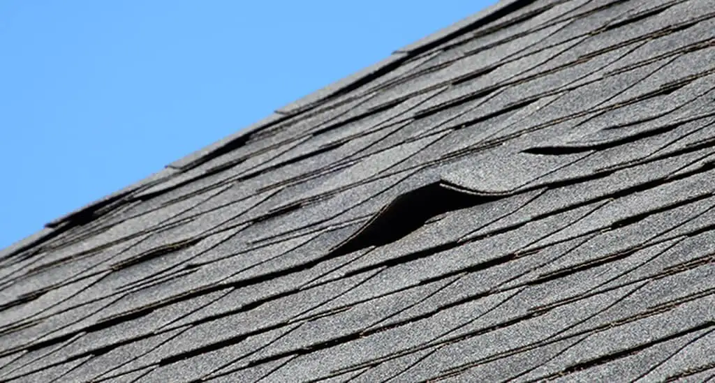 Lack of Roof Maintenance