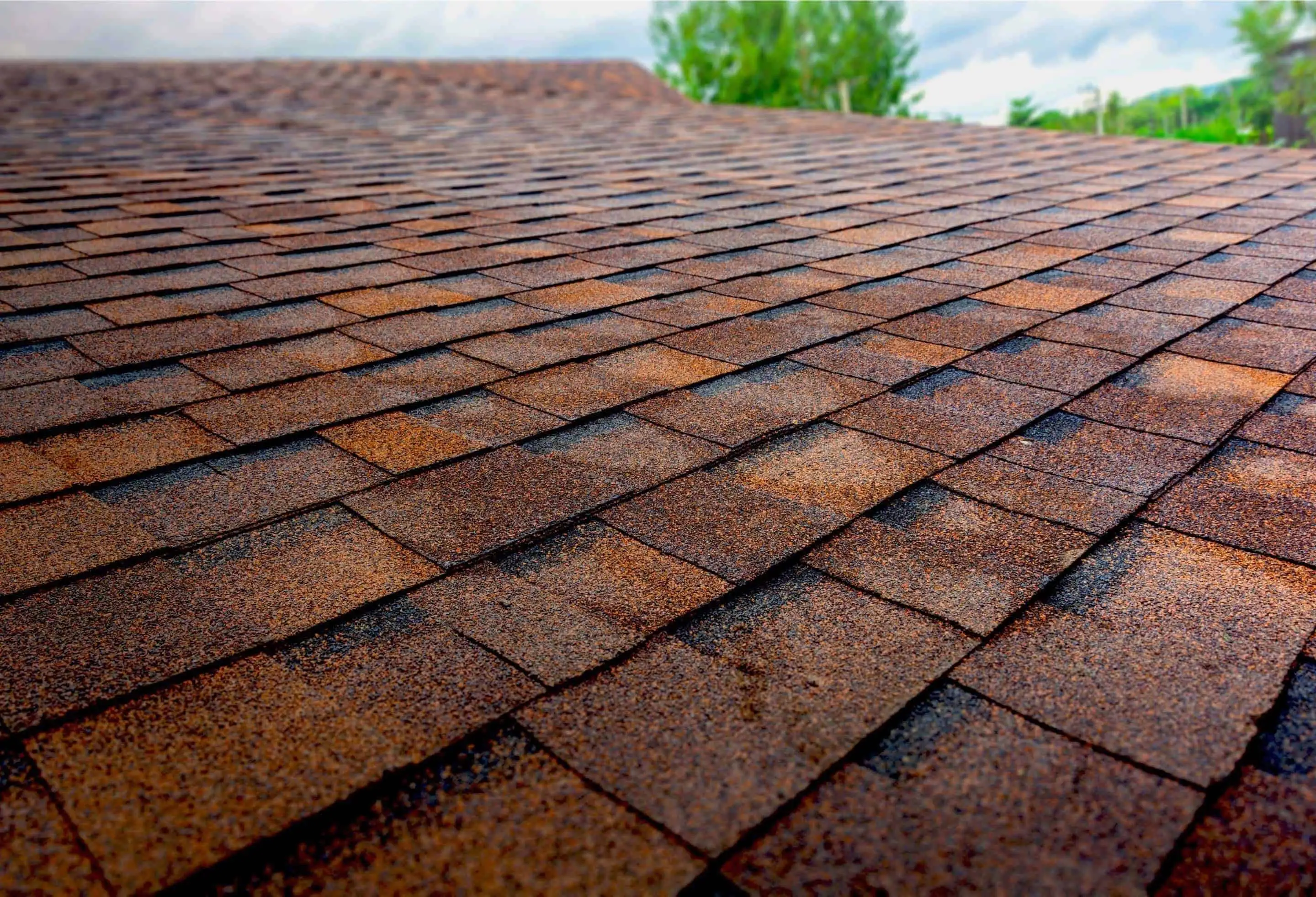 How Long Do Cedar Shingle Roofs Last at Regina Voss blog