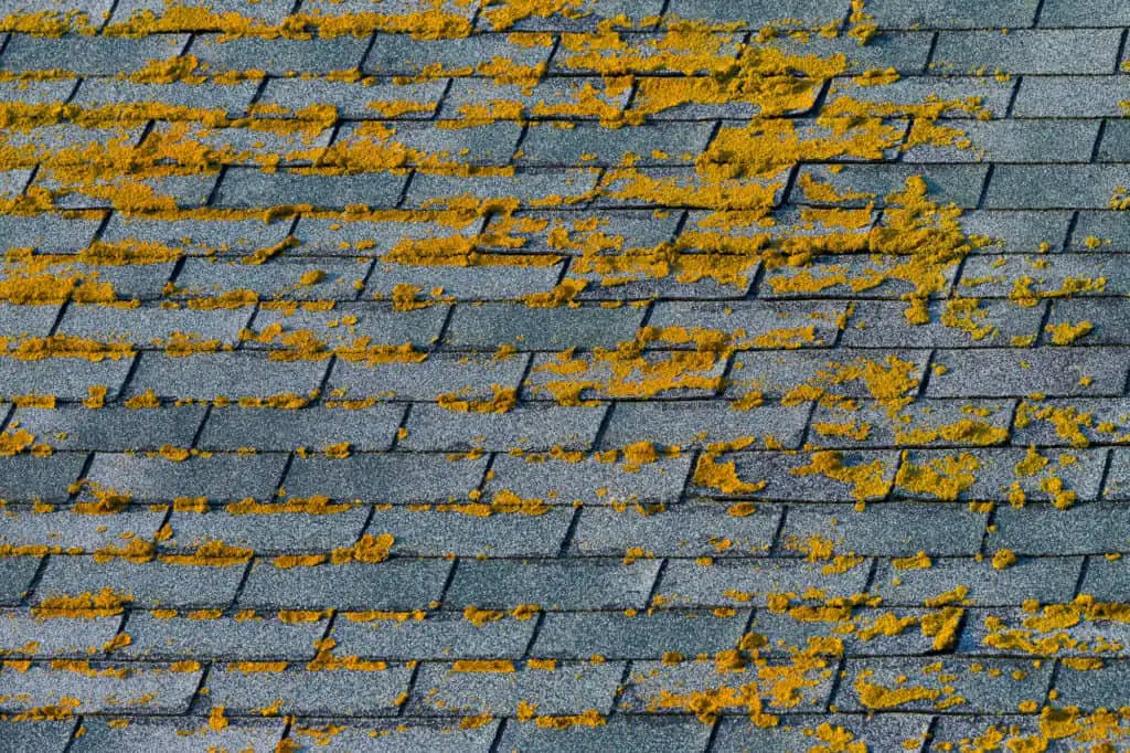 THE BENEFITS OF ALGAE RESISTANT ROOF SHINGLES