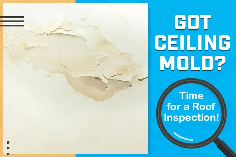 Got Ceiling Mold? <br>Time for a Roof Inspection!