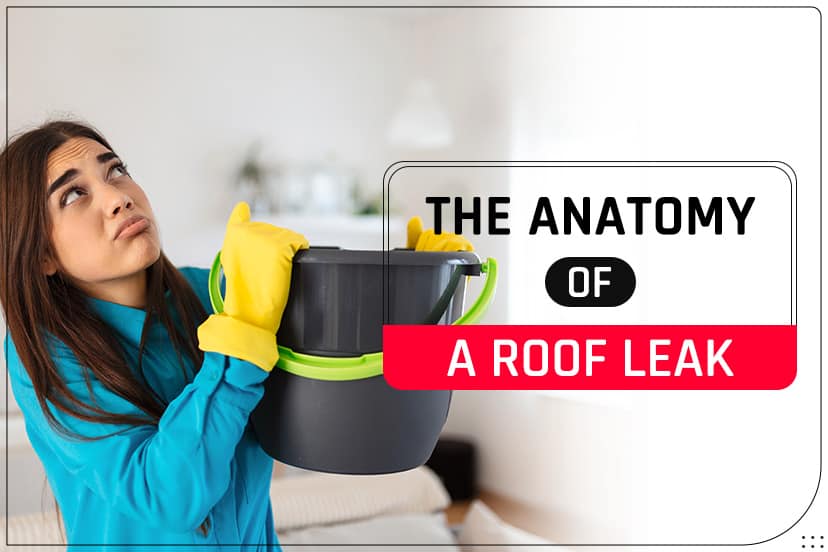 The Anatomy of a Roof Leak